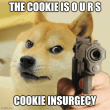 a doge is pointing a gun at someone with a meme .