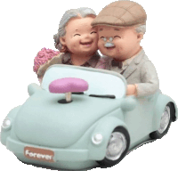 a figurine of an elderly couple driving a car that says forever on the side