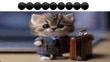 a small kitten is holding a suitcase and wearing a suit and tie .