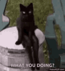 a black cat is sitting on top of a trash can with the words `` what you doing '' .