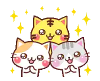 three cats are stacked on top of each other with a yellow tiger in the middle