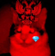 a cat with a blue diamond in its mouth