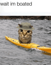 a cat wearing a hat sits on a yellow kayak