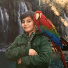 a boy holds a colorful parrot on his shoulder