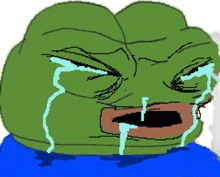 a cartoon of a green frog crying with tears coming out of his eyes .