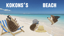 two hedgehogs on a beach with the words kokon 's beach on the top