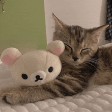 a cat laying next to a stuffed bear with a pink nose