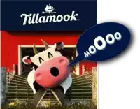 a cartoon cow is standing in front of a tillamook logo