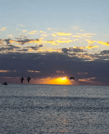 birds flying over the ocean at sunset with the sun shining through the clouds