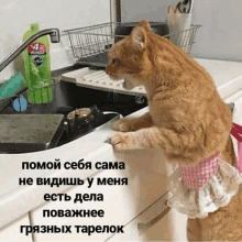 a cat wearing a pink apron is looking at a sink in a kitchen