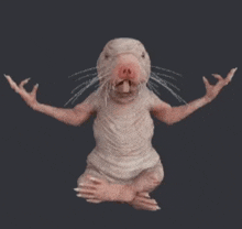 a naked mole rat is sitting with its arms outstretched