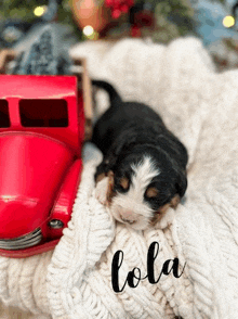 a small puppy is laying on a blanket next to a red truck .