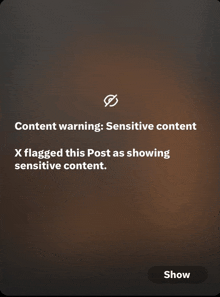 a screen displays a content warning sensitive content