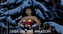 a cartoon of wonder woman standing in a snowy forest with the words dibs on the amazon below her