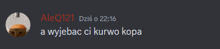 a screenshot of a discord conversation with aleq121 and wyjebac ci kurwo kopa