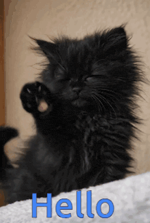 a black cat is laying on a white towel with the word hello written in blue