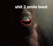 a picture of a monkey with a red mouth and the words shit 2 smile bout above it