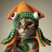 a cat is wearing a squid hat and collar