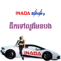 a woman leaning on the side of a white car with inada battery written on it