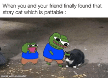 two frogs standing next to a cat with the caption when you and your friend finally found that stray cat