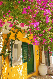 a yellow house with green shutters and pink flowers on it