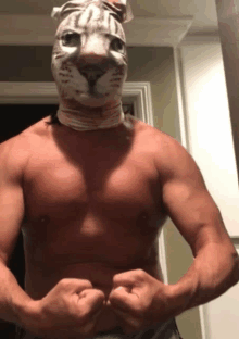 a shirtless man wears a cat mask on his face