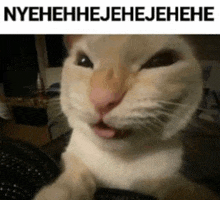 a cat is making a funny face with its tongue sticking out and the words nyehehhejehejehehe written above it