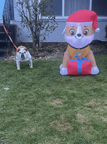 a dog on a leash is standing next to an inflatable paw patrol pup