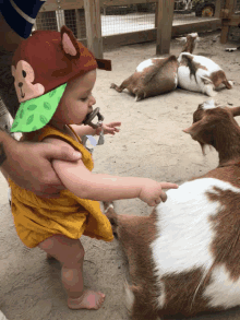 a baby wearing a hat with a monkey on it reaches out to touch a goat