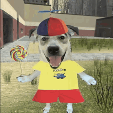 a dog wearing a yellow shirt with a minion on it