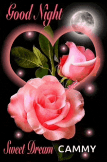 a good night sweet dream cammy card with pink roses in a heart