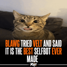 a cat sticking its tongue out with a caption that says blawg tried velt and said it is the best selfbot ever