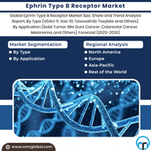 an advertisement for ephrin type b receptor market showing a dna strand