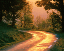 the sun shines through the trees on a road