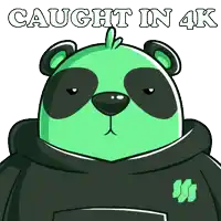 a cartoon panda bear wearing a black hoodie with the words caught in 4k below it