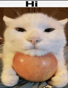 a white cat is holding an apple in its paws and says hi on the bottom