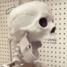 a close up of a skeleton 's head against a white wall with polka dots .