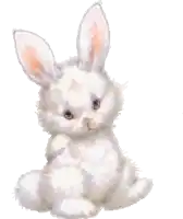 a white bunny with pink ears is sitting down on a white background