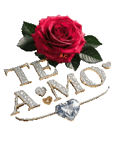 a red rose is surrounded by the words te amo a.c.