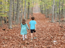 a boy and a girl are walking down a path in the woods holding hands