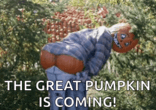 a scarecrow with a pumpkin butt is standing in front of a bunch of pumpkins