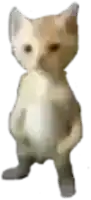 a blurry picture of a cat standing on its hind legs on a white background .