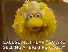 big bird from sesame street is saying excuse me i hear you are selling a big bird cage