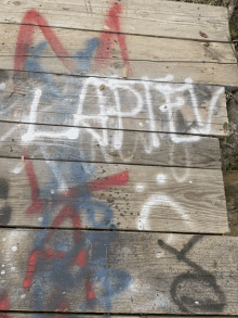 the word happy is spray painted on the wood