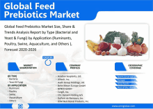 a poster titled global feed prebiotics market shows a bunch of vegetables