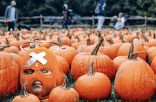 a pumpkin patch with a person wearing a mask that says hate on it