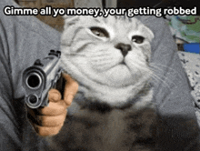 a cat is pointing a gun at someone with the words `` gimme all yo money , your getting robbed '' .