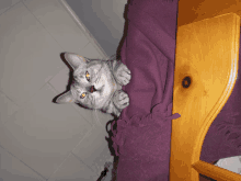 a cat laying on a purple blanket on a wooden bed