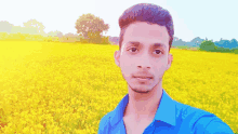 a young man in a blue shirt is taking a selfie in front of a field of yellow flowers