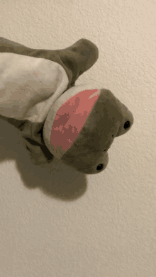 a stuffed frog with a pink tongue is hanging on a white wall